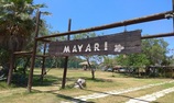 Magnifiko Island Beach BY Mayari ! Έρχεται σε λίγες μέρες