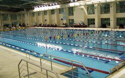 ΚΟΕΑίτημα , για την ένταξη 370 κολυμβητών / τριών στις προπονήσεις
